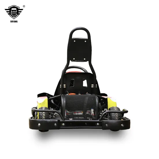 Adult Go Kart 3000W Four Wheels Racing Go Kart Electric Pedal Go Kart 