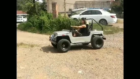 Hot Sale Yellow Parent Child Golf Cart Gasoline Mini Jeep Outdoor Ride on Toy Car 